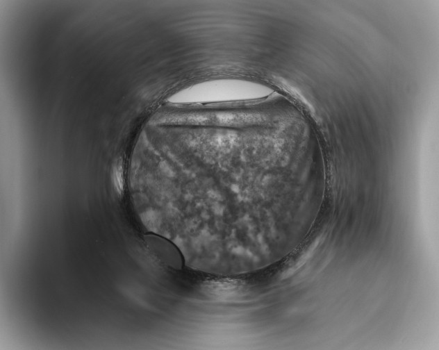 X0000093170069200710171236