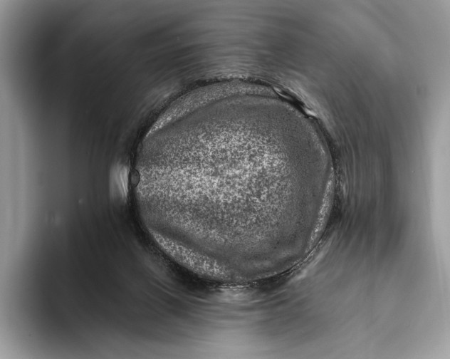 X0000093170070200710171236