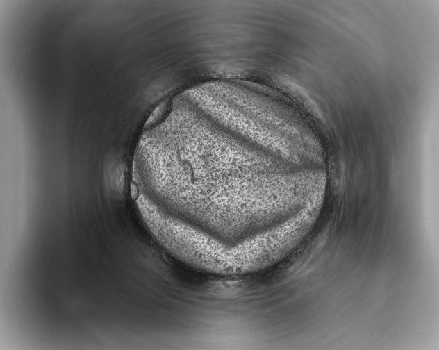 X0000093170071200710171236