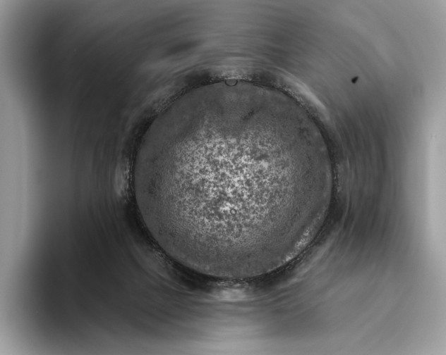 X0000093170073200710171236