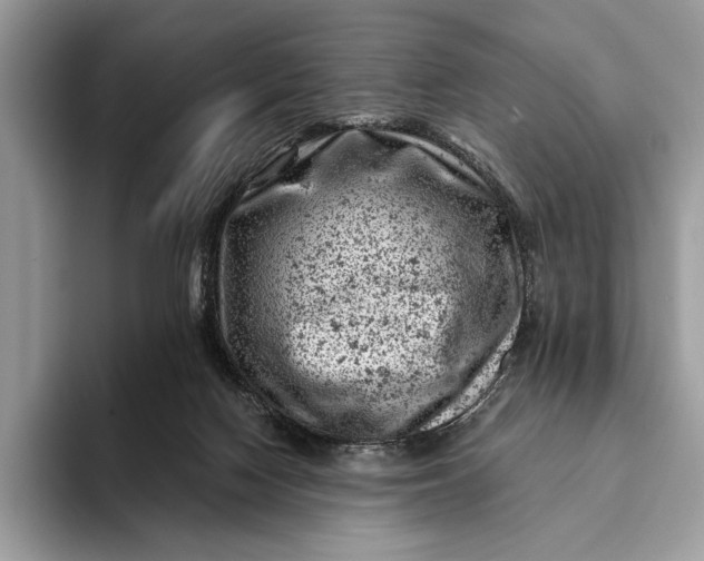 X0000093170074200710171236