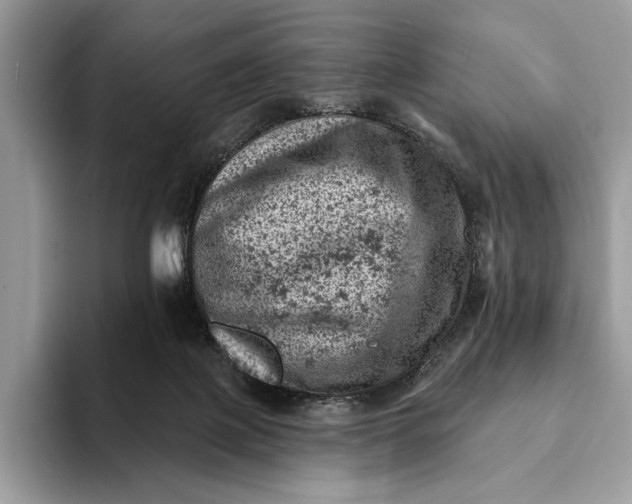 X0000093170075200710171236