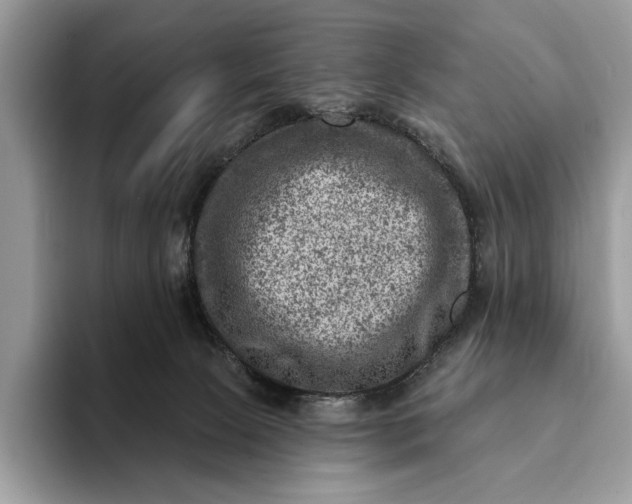 X0000093170081200710171236