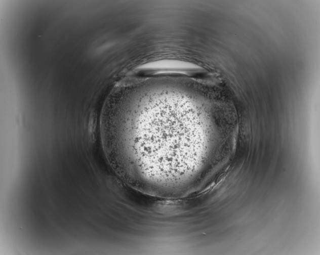 X0000093170082200710171236