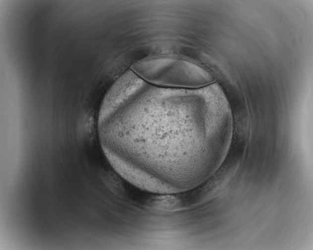 X0000093170087200710171236