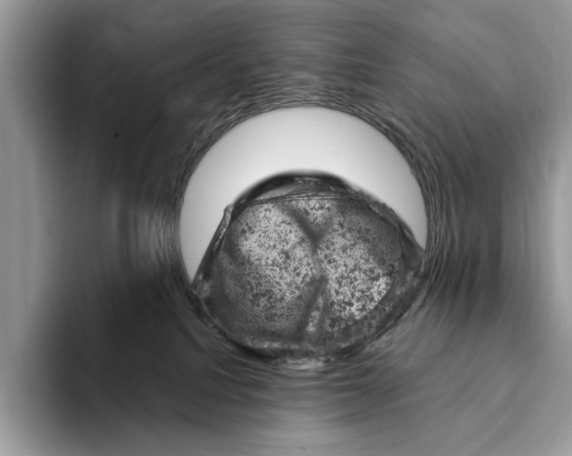 X0000093170088200710171236