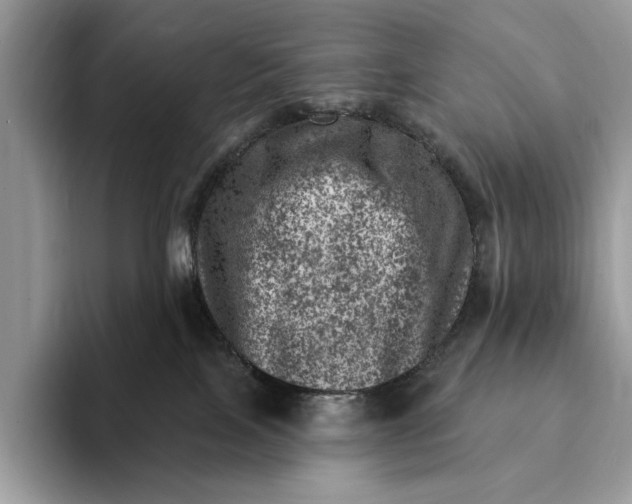 X0000093170089200710171236