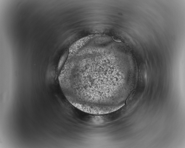 X0000093170091200710171236