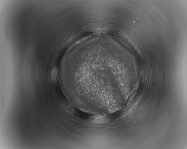 X0000093170093200710171236