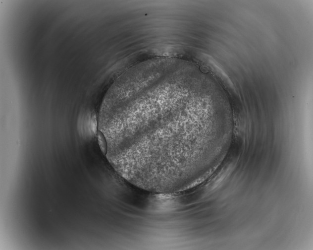 X0000093170095200710171236