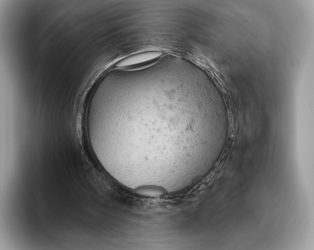 X0000093170098200710171235