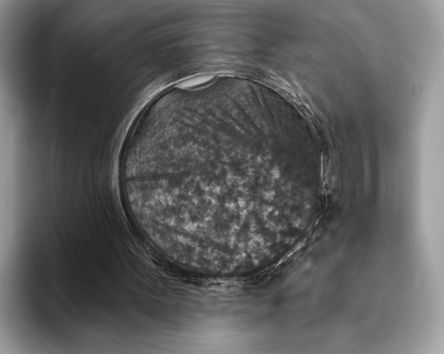 X0000093170099200710171235