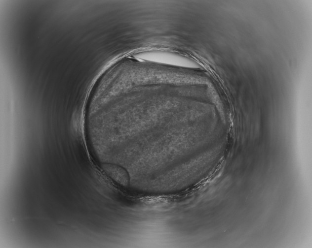 X0000093170100200710171235