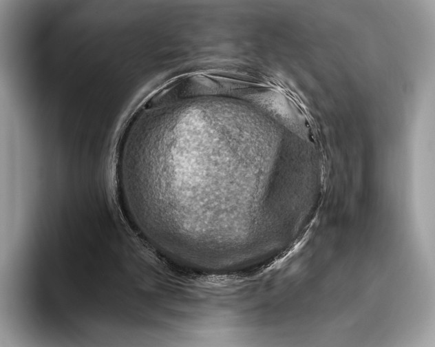 X0000093170101200710171235