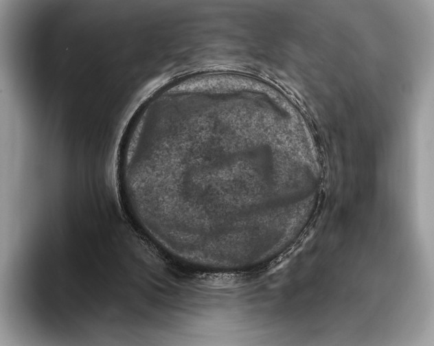 X0000093170104200710171235