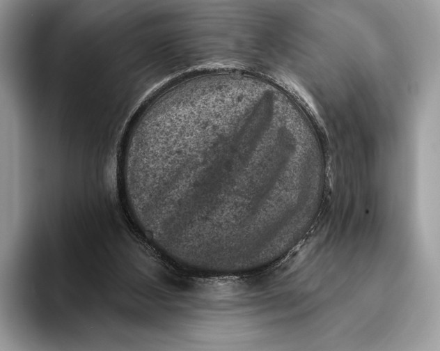 X0000093170108200710171235