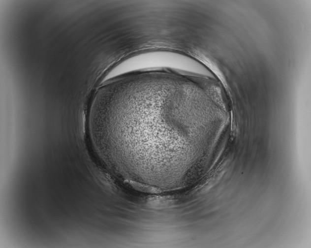 X0000093170109200710171235