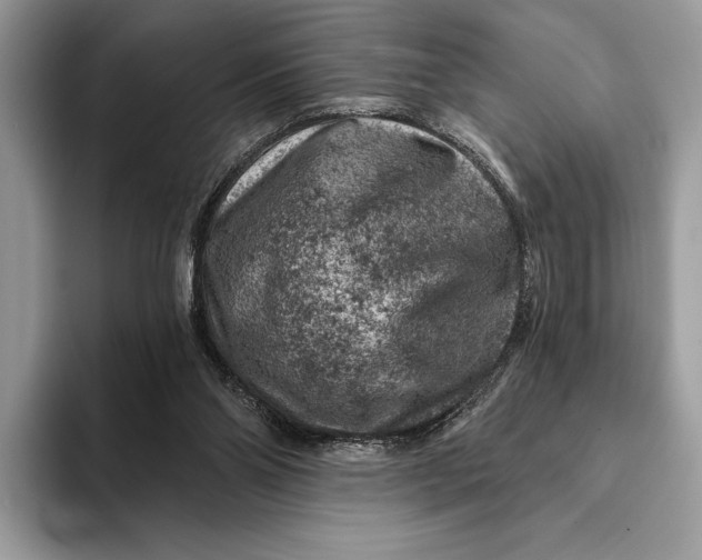 X0000093170110200710171235