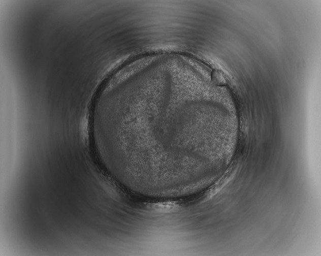 X0000093170112200710171235