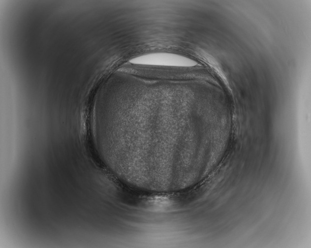 X0000093170114200710171235