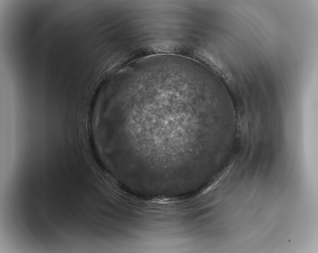 X0000093170117200710171235