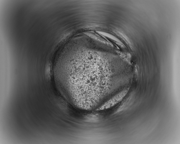 X0000093170119200710171235