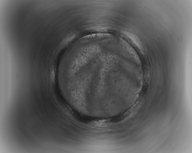 X0000093170120200710171235