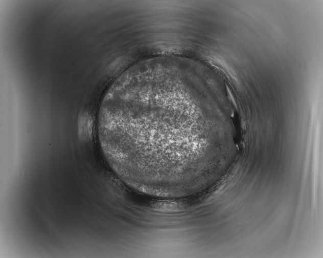 X0000093170123200710171235