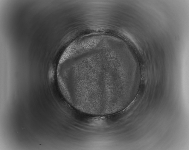 X0000093170124200710171235