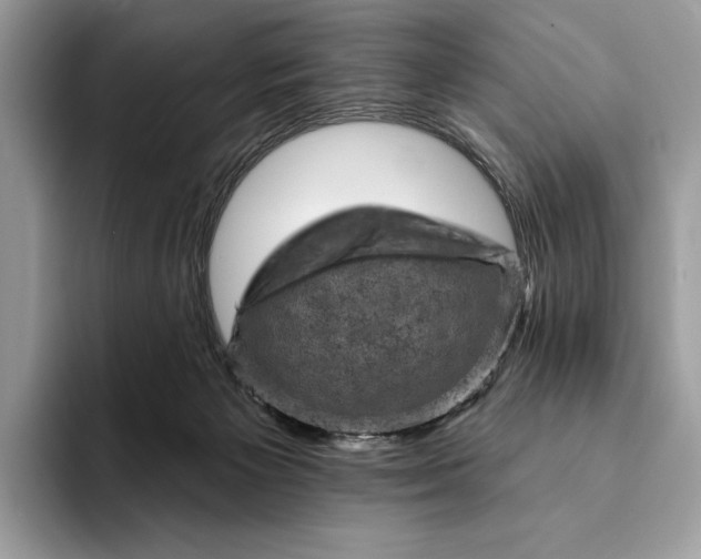 X0000093170125200710171235