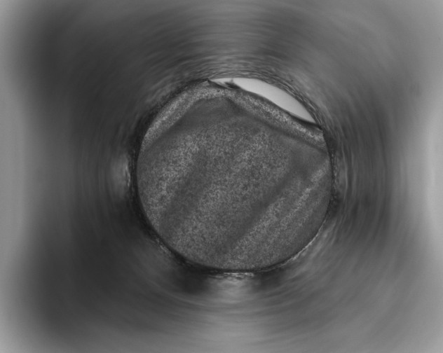 X0000093170128200710171235