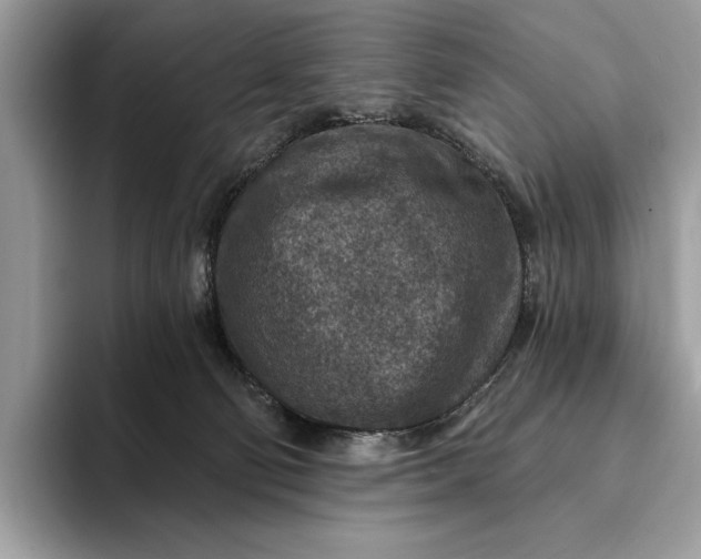 X0000093170130200710171235