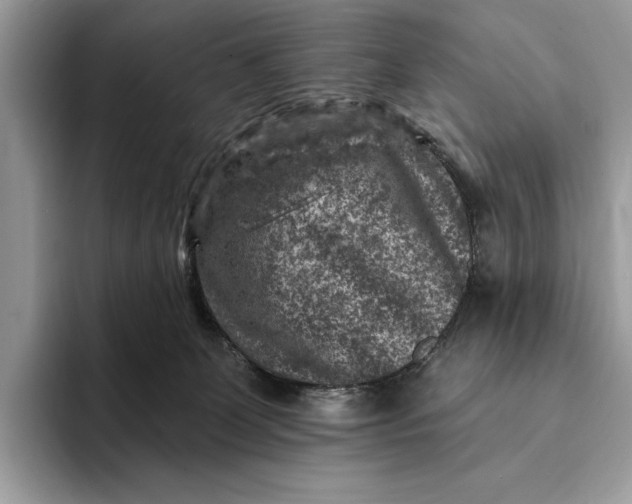 X0000093170131200710171235