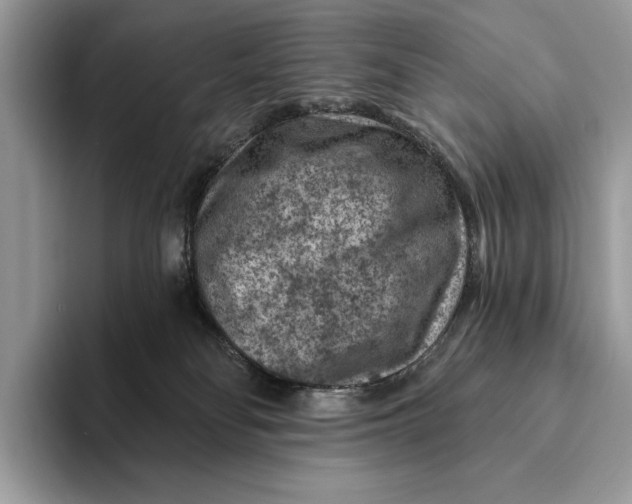 X0000093170134200710171235