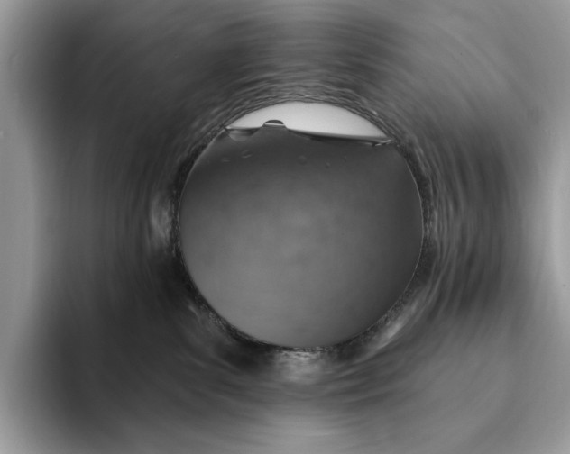 X0000093170139200710171235