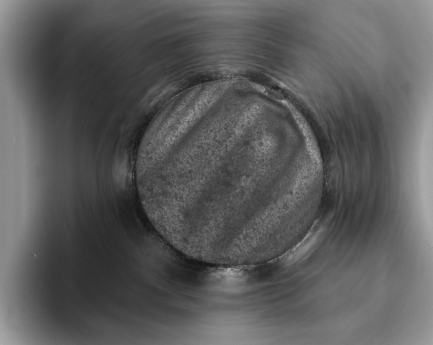 X0000093170140200710171235