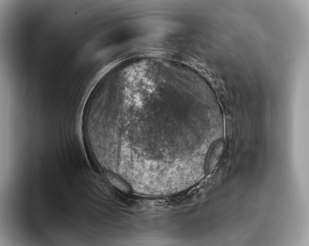 X0000093170147200710171234