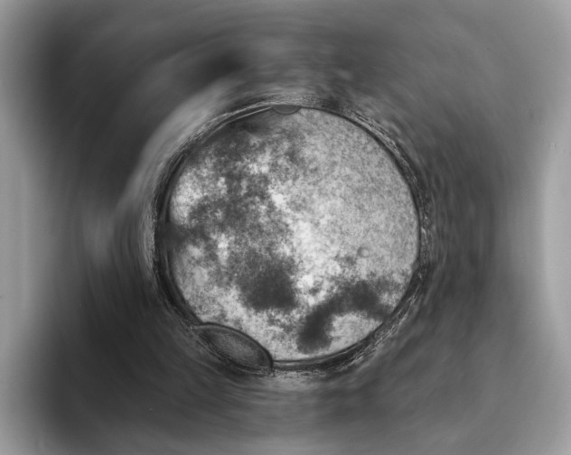 X0000093170149200710171234