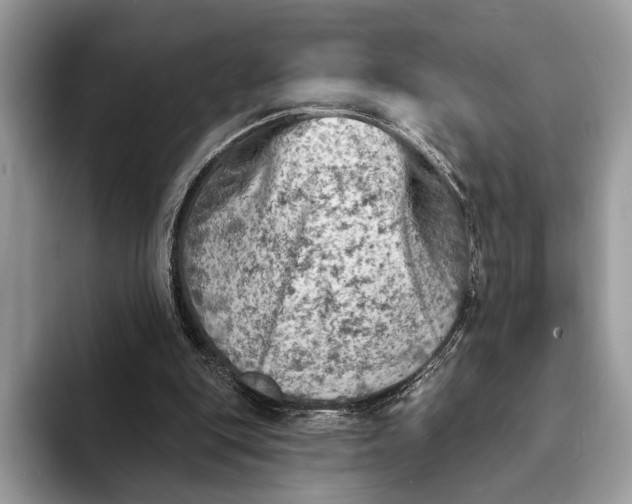 X0000093170151200710171234