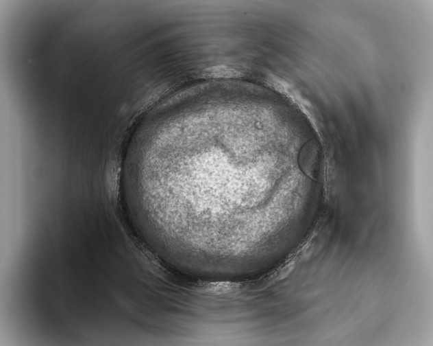 X0000093170153200710171234