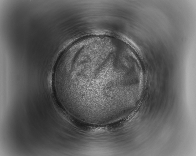 X0000093170155200710171234