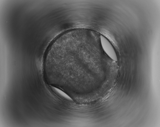 X0000093170156200710171234