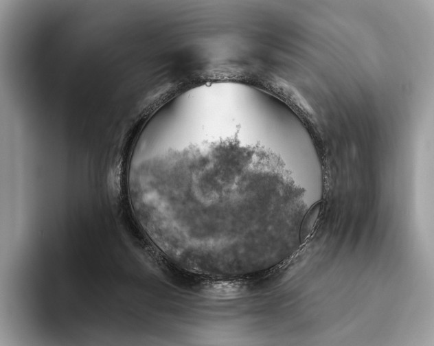 X0000093170163200710171234