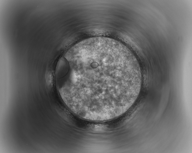 X0000093170165200710171234