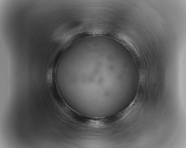 X0000093170167200710171234