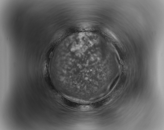 X0000093170169200710171234