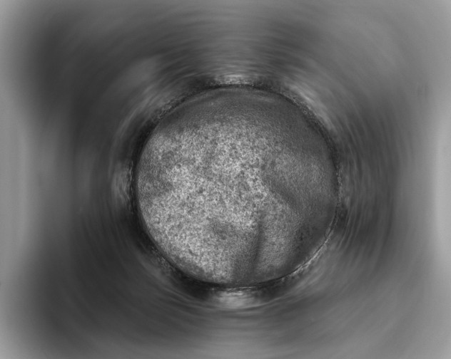 X0000093170171200710171234