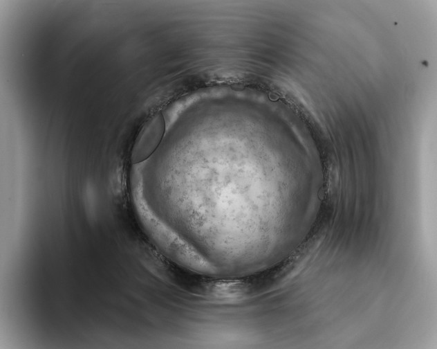 X0000093170173200710171234