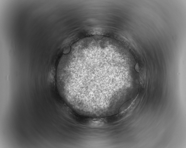 X0000093170175200710171234