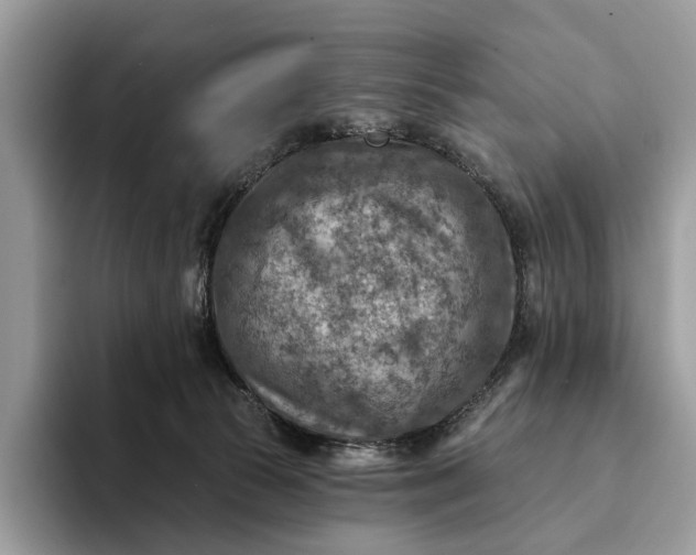 X0000093170177200710171235